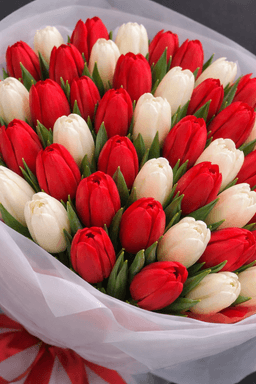 Алый Вальс — фото 2