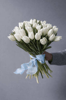 Тюльпаны — фото 5